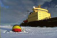 Antarctica cruise contact