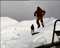 Antarctica Vacation