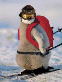Antarctica ski resort