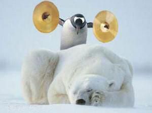 Antarctica Penguin Cartoon Polar Bear
